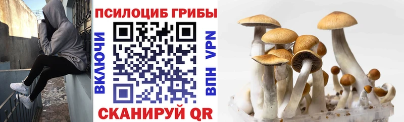 Псилоцибиновые грибы ЛСД  Кунгур 